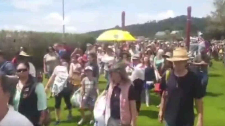 Watch: ‘What planet are you on Hone?’: Sovereign Hikoi of Truth welcomed on Te Tii Marae at Waitangi