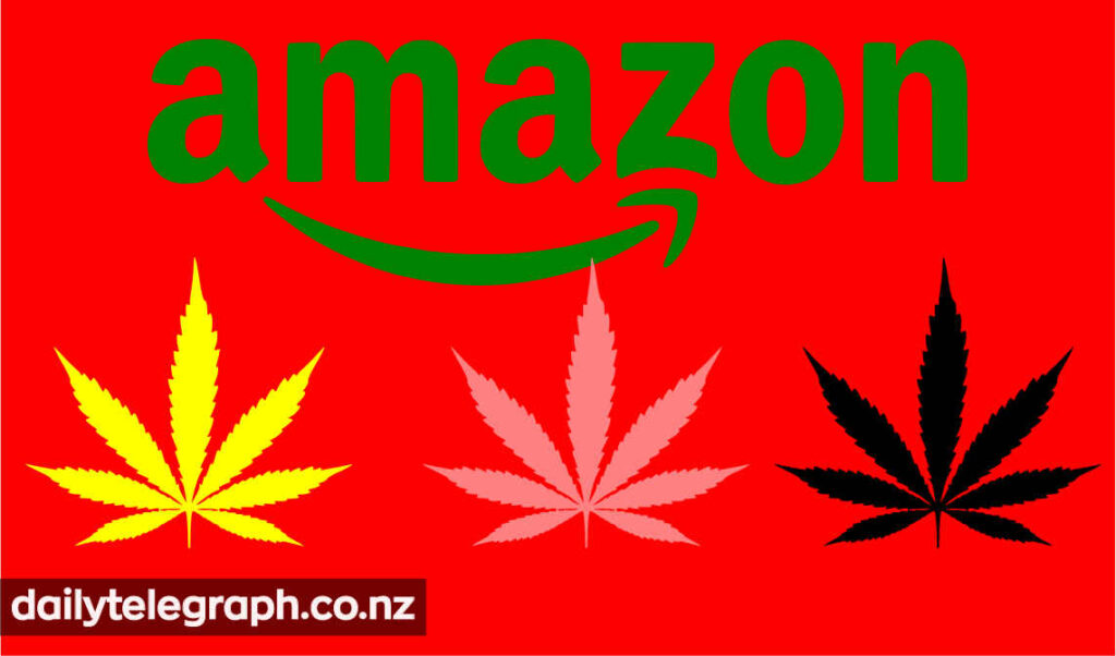 Amazon drugs in India news