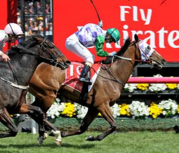 Verry Elleegant wins 2021 Melbourne Cup