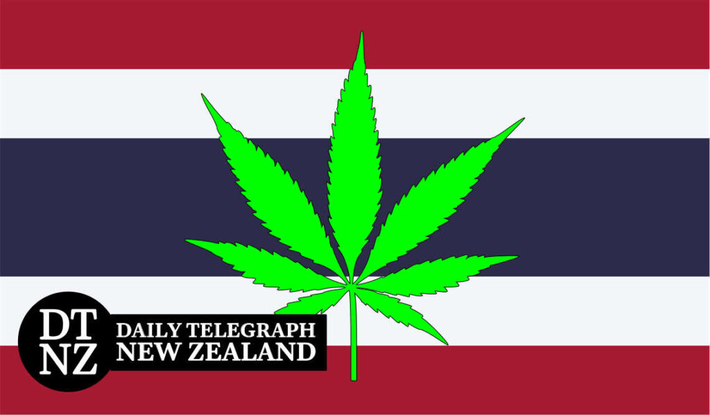 Thailand marijuana news