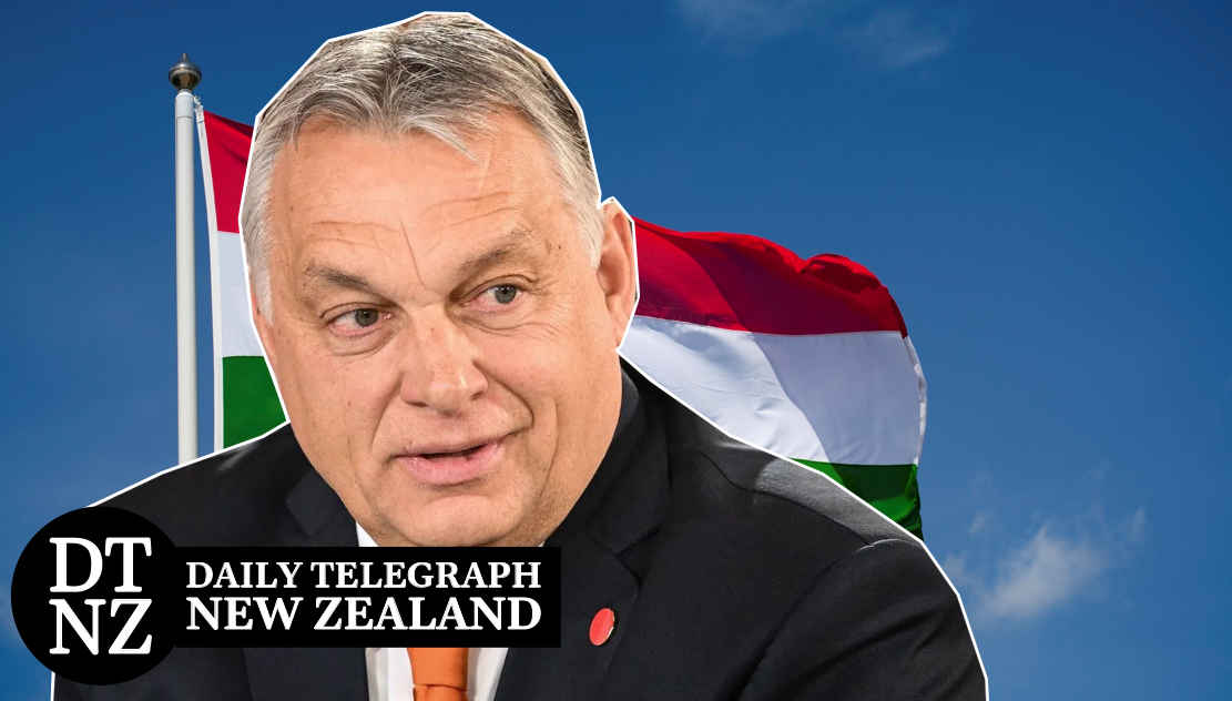 Orban election news