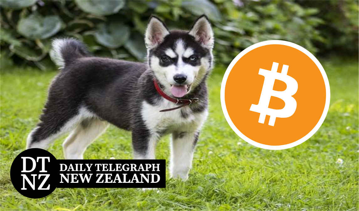 Puppy for Bitcoin scam news
