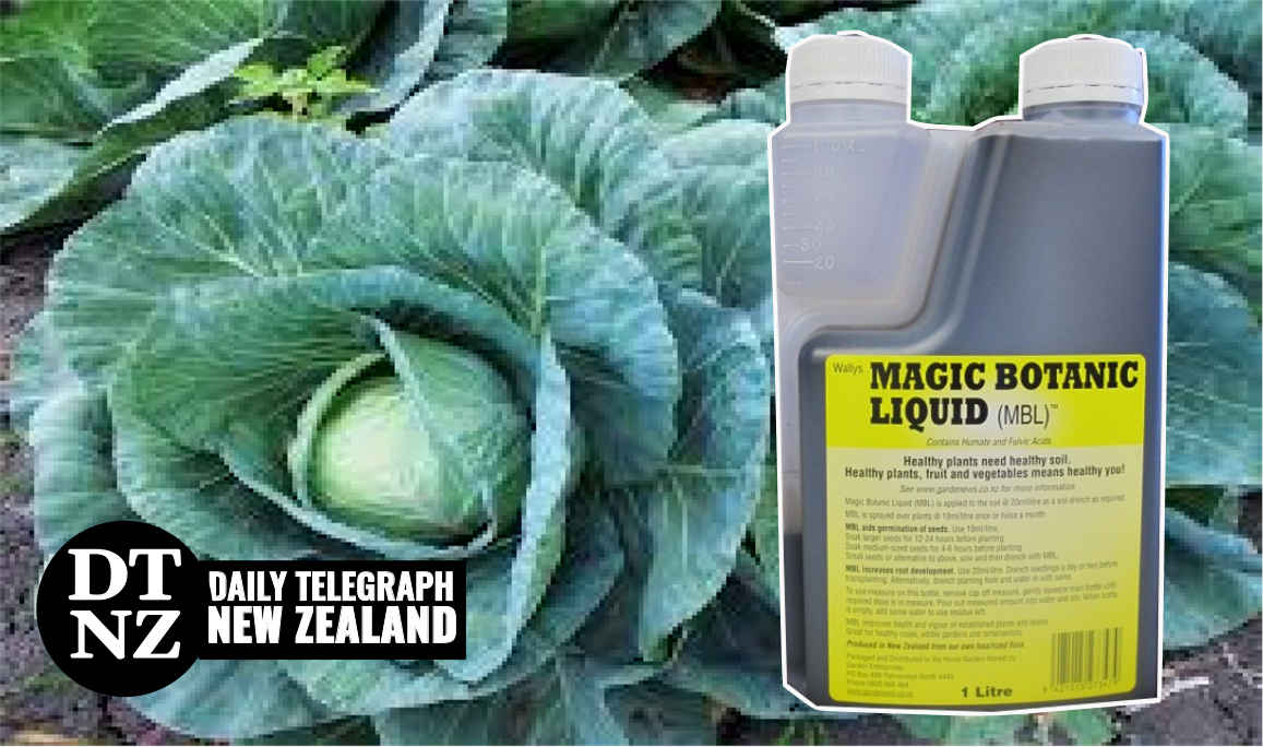 Magic Botanic Liquid news