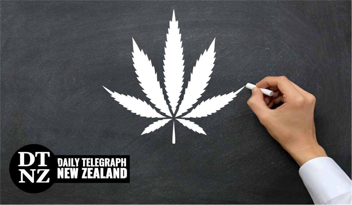 Wairarapa cannabis news