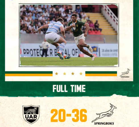 Los Pumas 20 - 36 Springboks - Daily Telegraph NZ