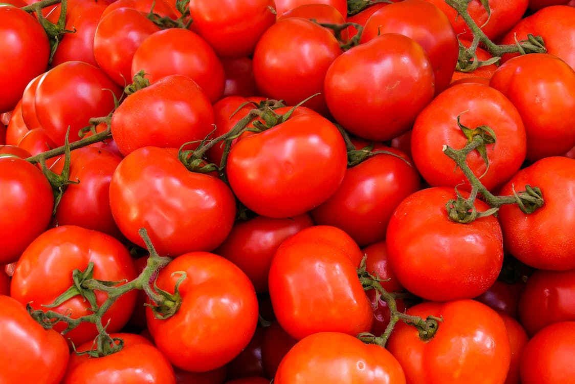 Tomato news