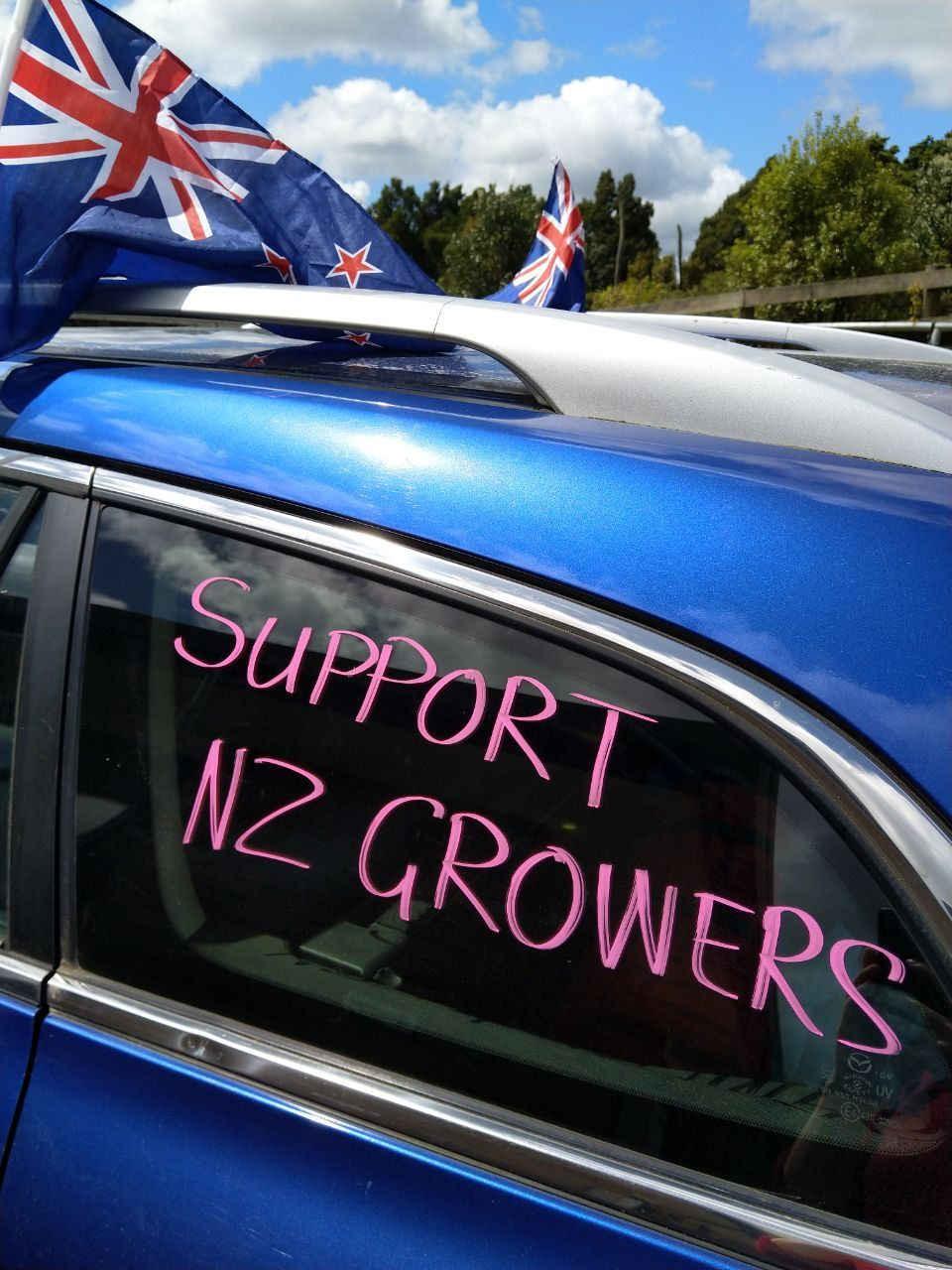 Groundswell NZ protest news