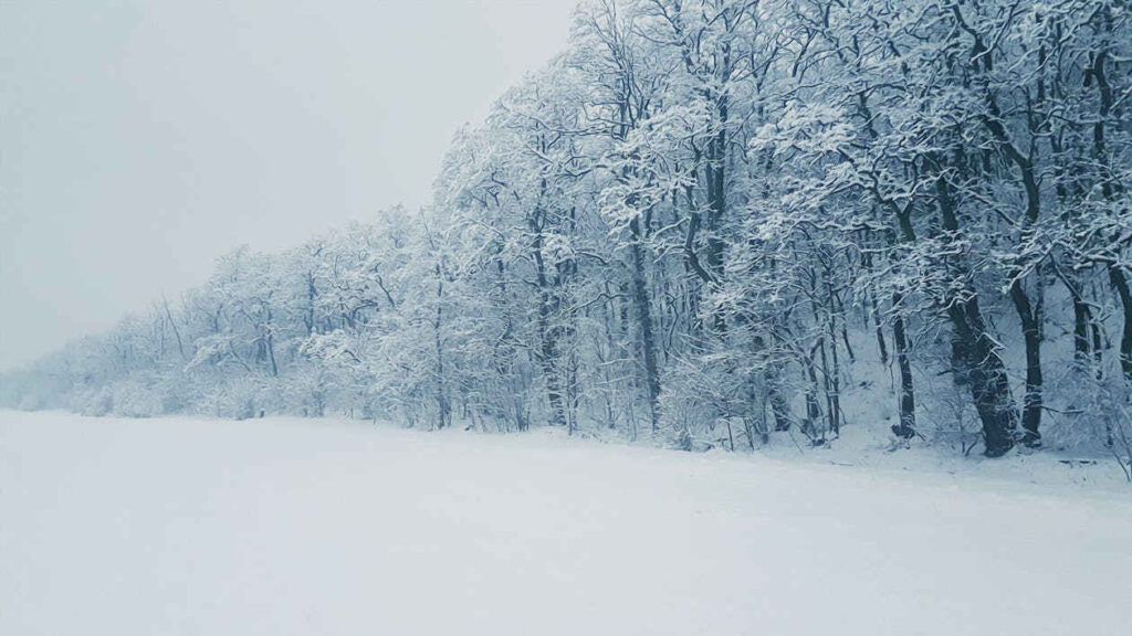 scientists-warn-of-cold-winter-in-europe-daily-telegraph-nz