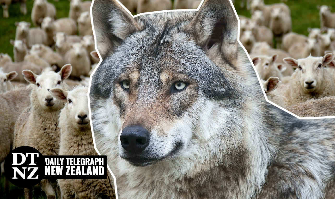 Guy Hatchard A nation of sheep will beget a government of wolves