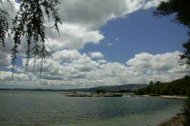 Lake Rotorua news