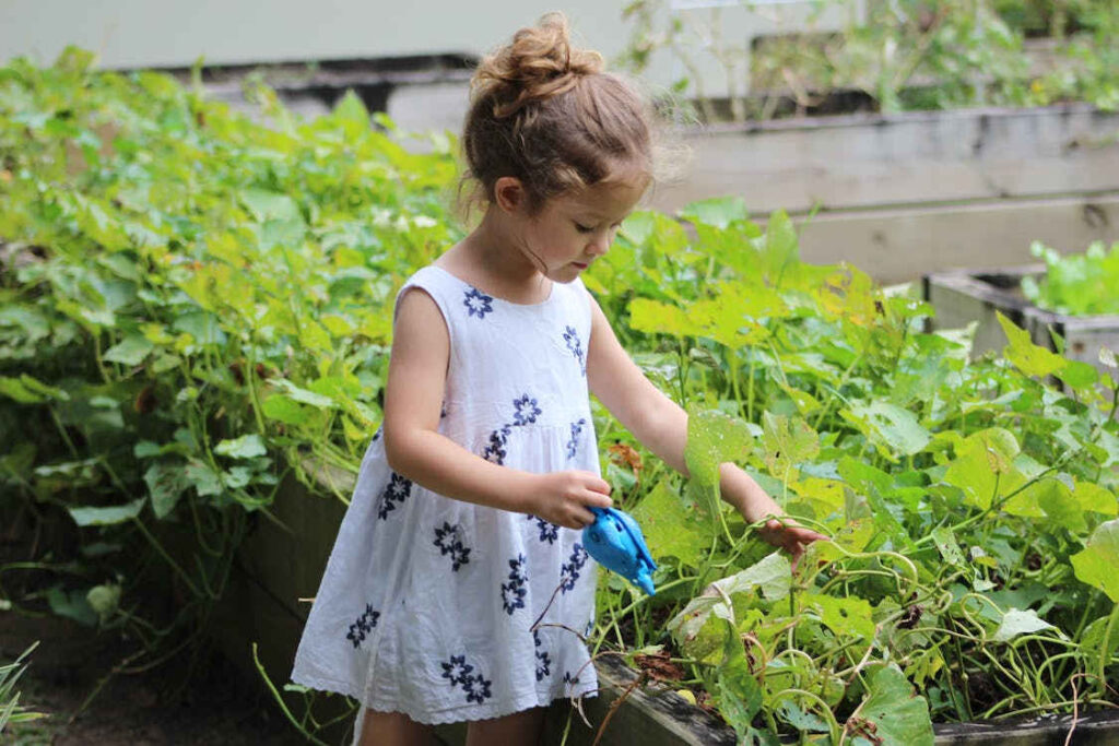 Kids gardening