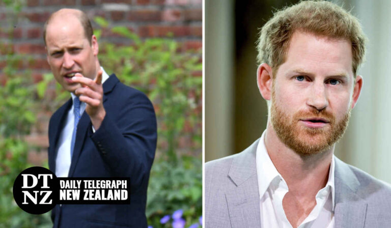 Prince Harry Says His Brother Physically Attacked Him In Upcoming Book ‘spare Daily Telegraph Nz 