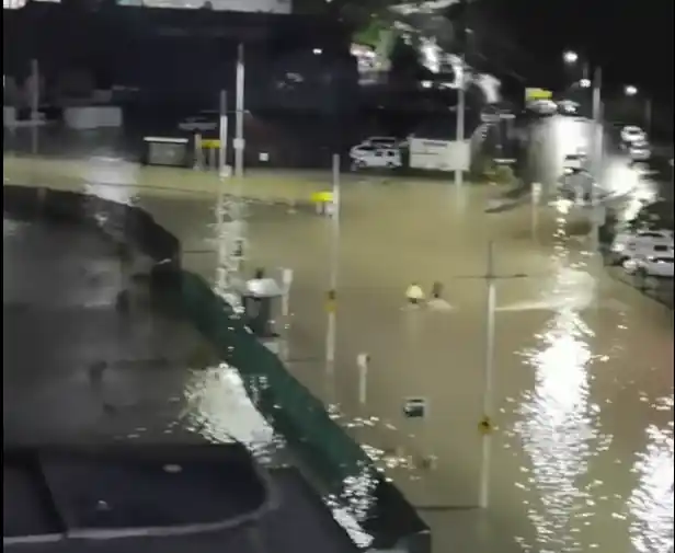 Auckland floods news