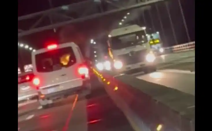 Watch: Tesla catches fire on Auckland Harbour Bridge - Daily Telegraph NZ