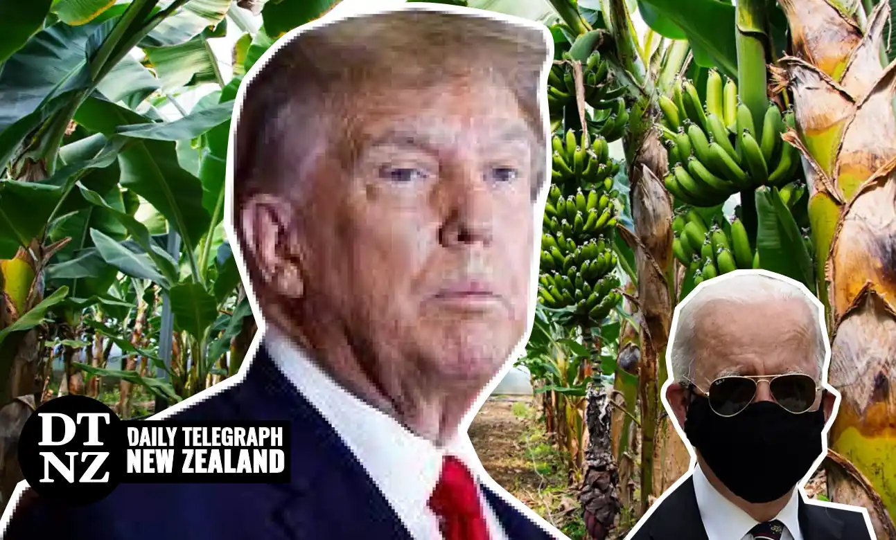 us-becoming-a-banana-republic-trump-daily-telegraph-nz