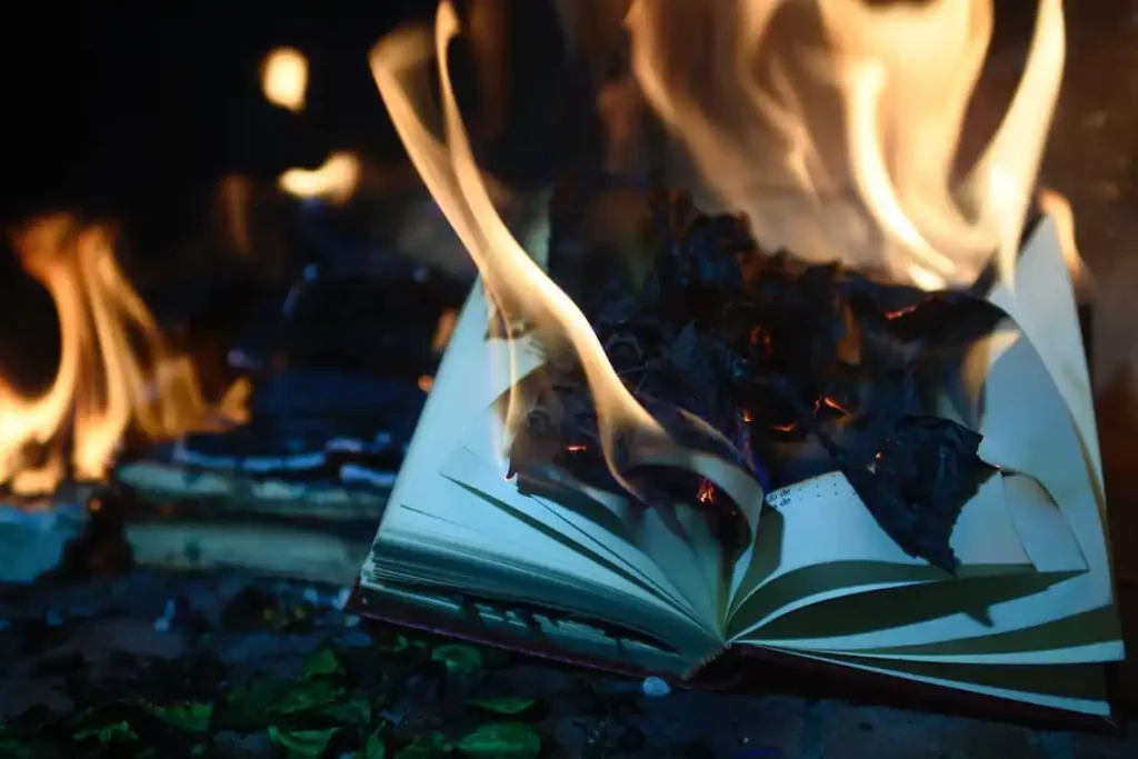 Book burning news