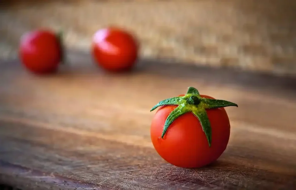 Tomato growing tips
