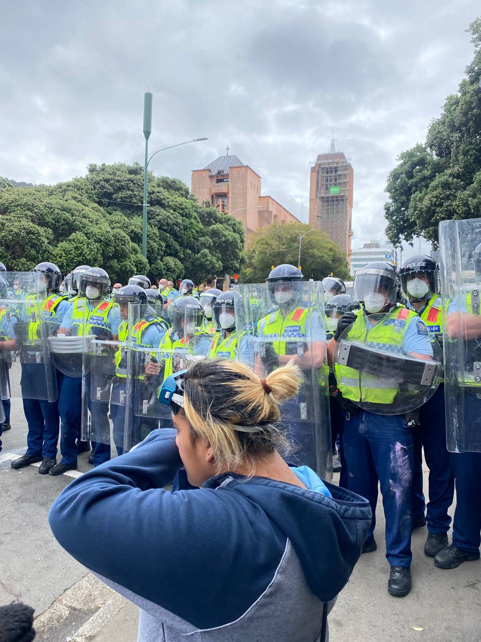 Police statement following IPCA Parliament Protest findings Daily