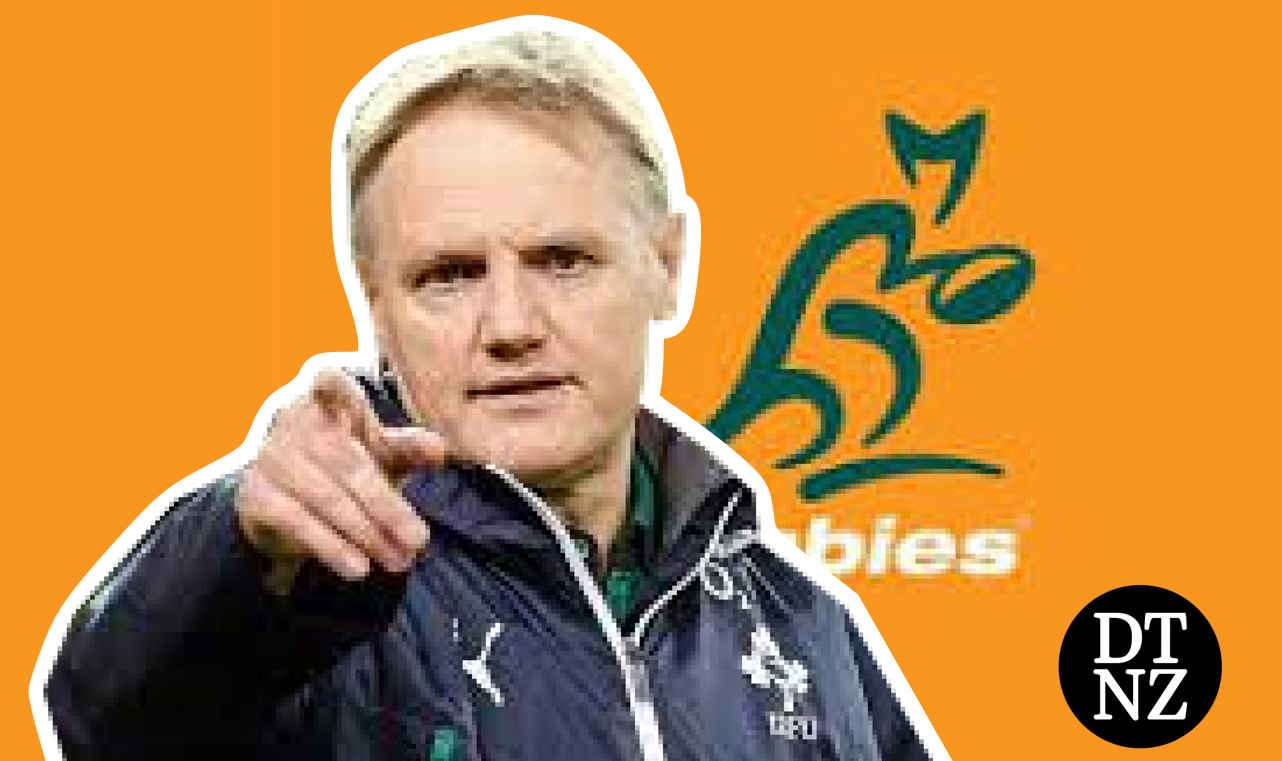 Joe Schmidt Announced As New Wallabies Head Coach - Daily Telegraph NZ