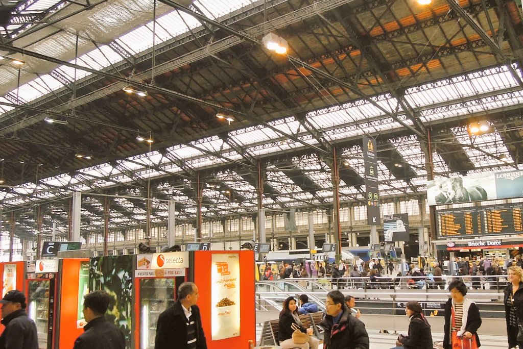 Gare de Lyon rail hub stabbing news