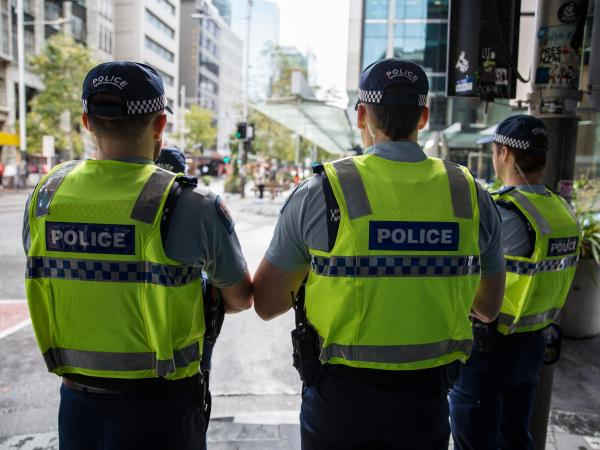 Auckland crime news