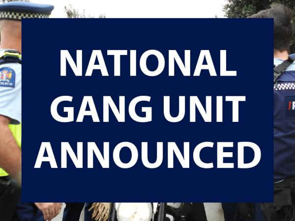 Gang unit news