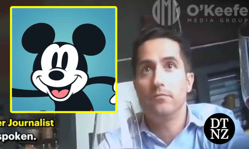 Disney DEI news