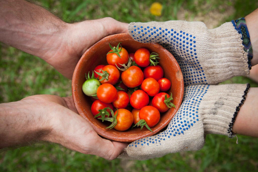 Gardening opinion