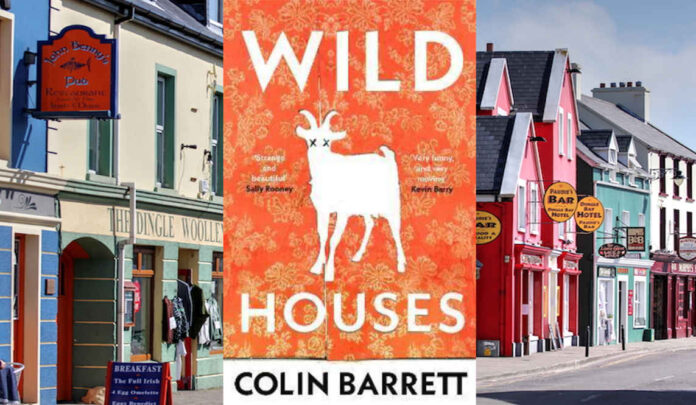 Wild Houses by Colin Barrett