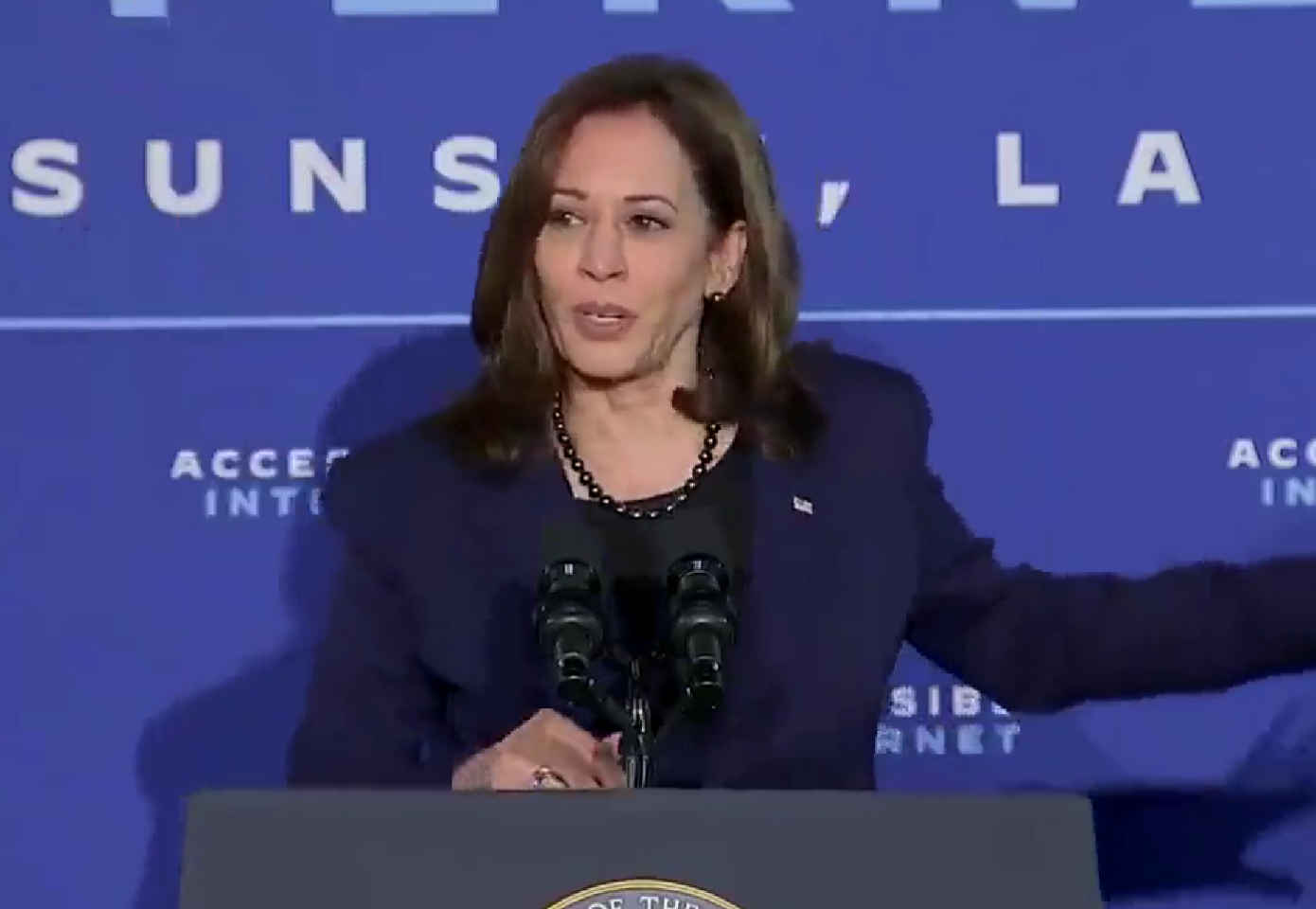 What Can Be Unburdened By What Has Been Kamala Harris Daily   What Can Be Unburdened 