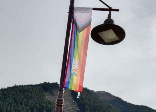 Queenstown pride flags news