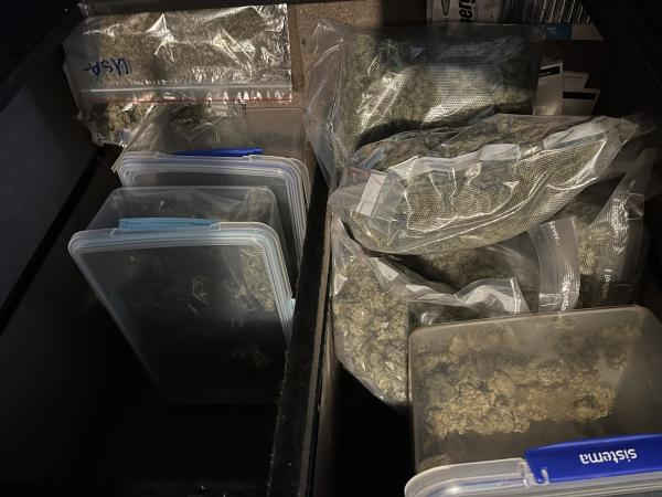 southland police seize cannabis3