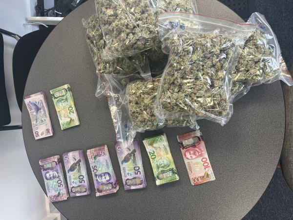 southland police seize cannabis5