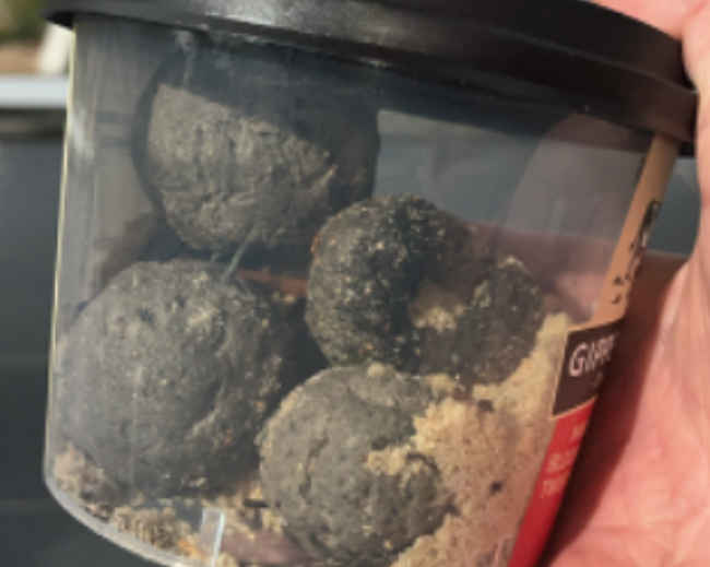 Sydney beaches reopen after mysterious tar balls wash ashore Daily