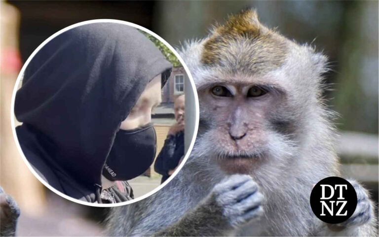 Woman jailed for role in global monkey torture ring blames fake syndrome