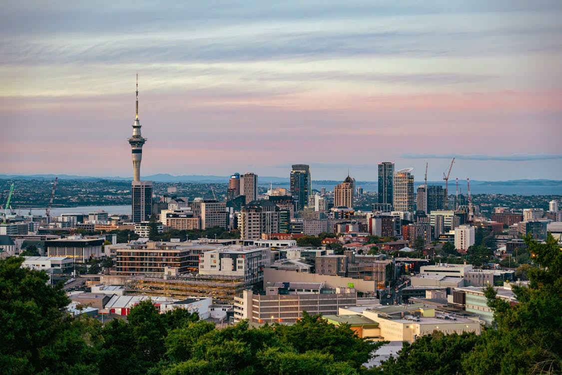 Auckland property news