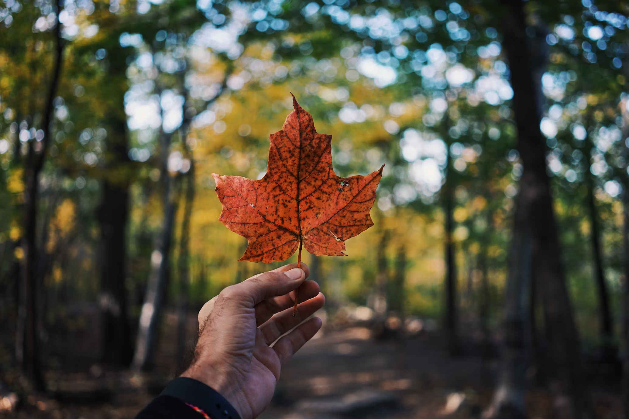 Canada news