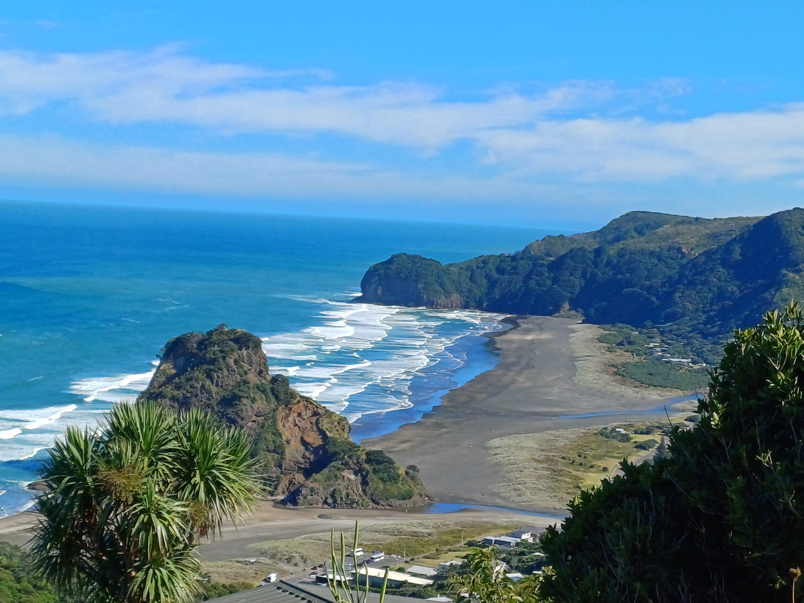 Piha news