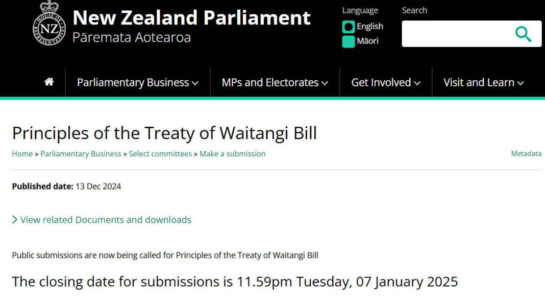 Surge in submissions as Treaty of Waitangi Bill deadline approaches