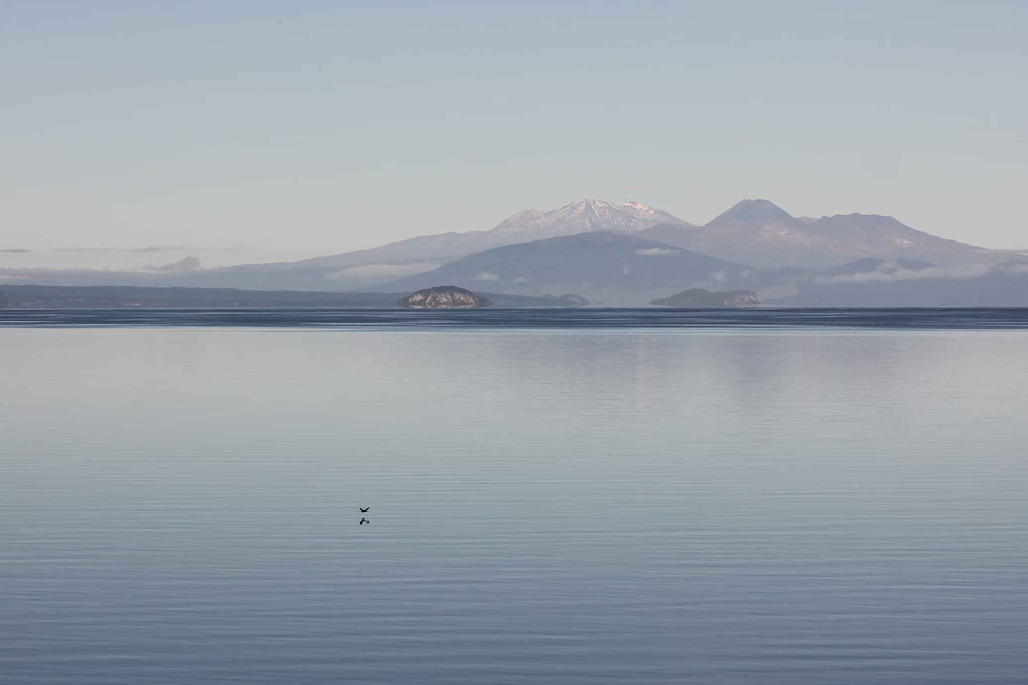 Lake Taupo news