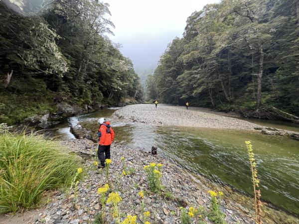 Wakaia River news