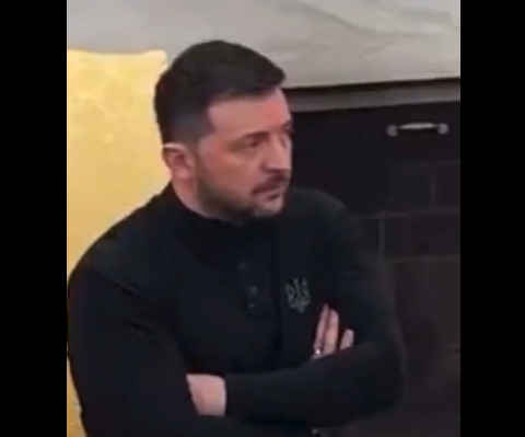 dailytelegraph.co.nz