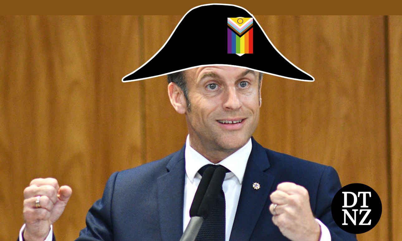 Macron - Napoleon opinion