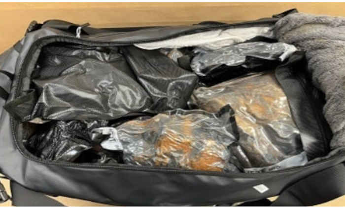 Auckland Airport crime news
