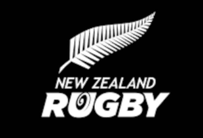 NZ Rugby posts $19.5m loss despite record revenue - Daily Telegraph NZ