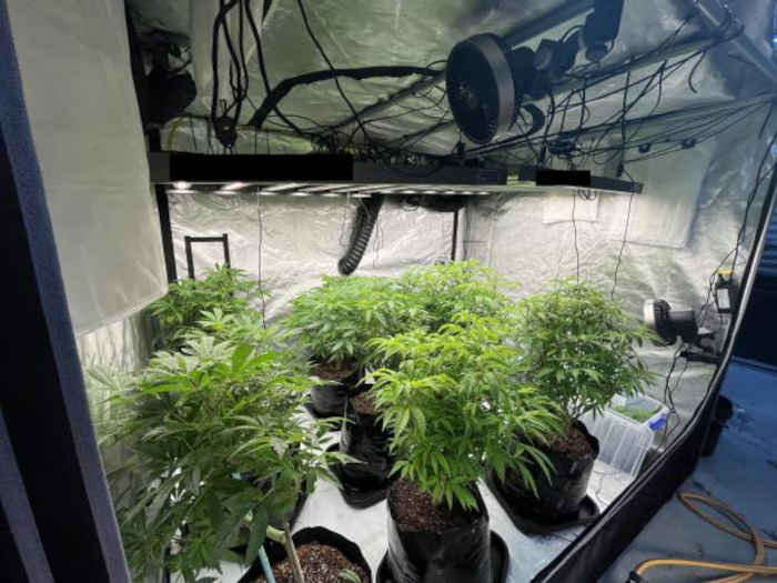 Greymouth crime news