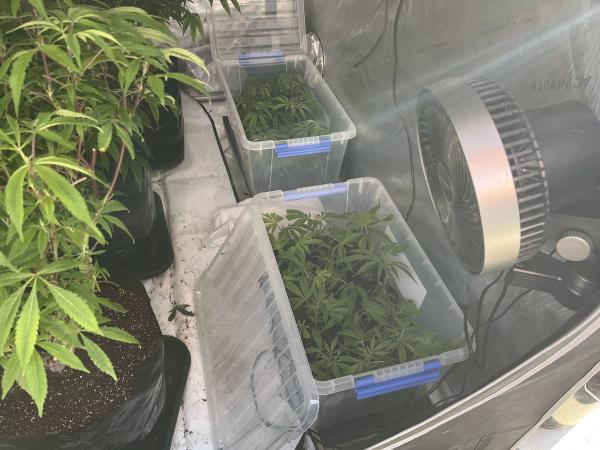 greymouth man charged after4