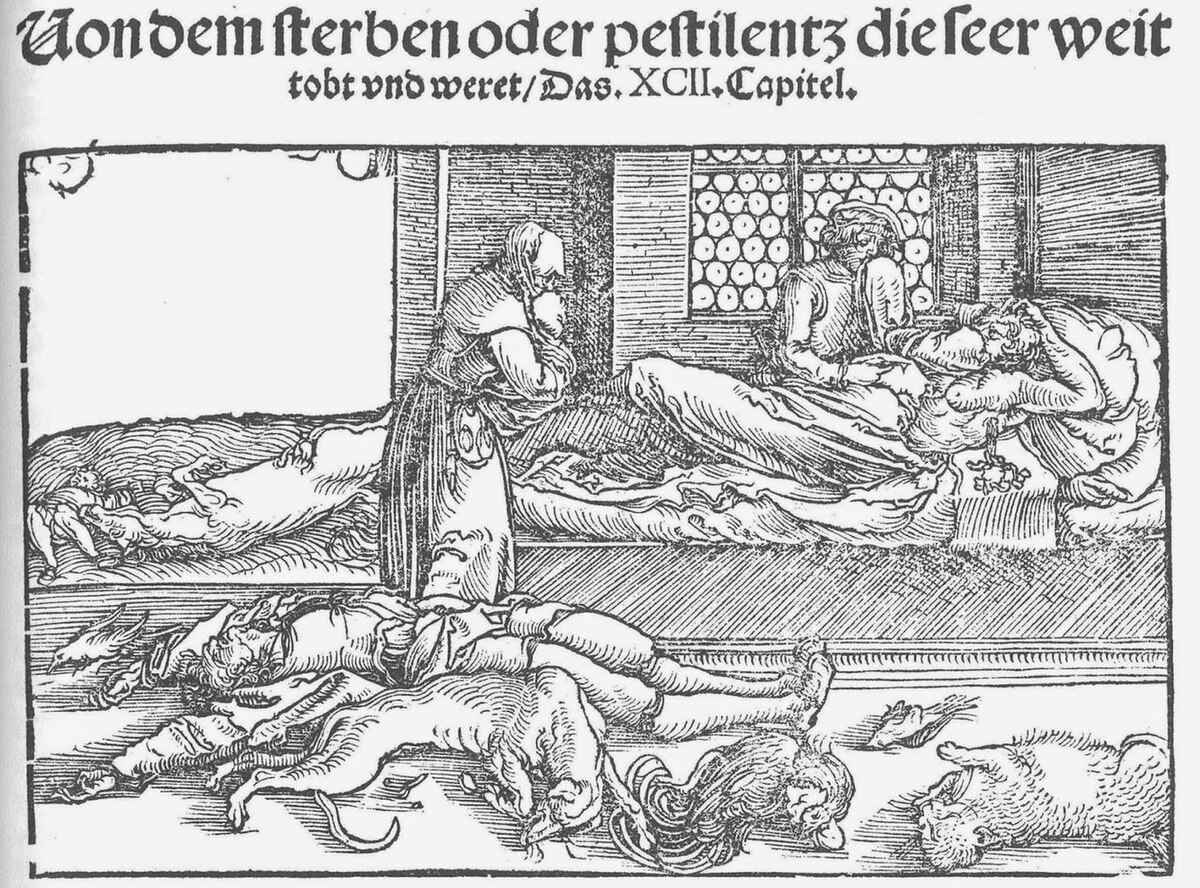New Mexico plague case