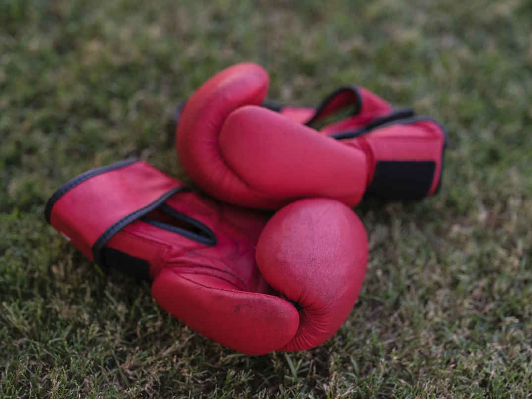 French boxing news