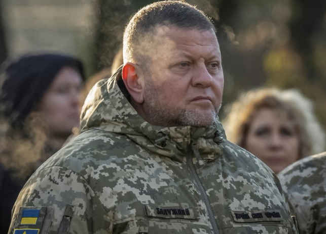 Valery Zaluzhny news
